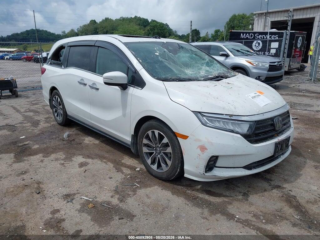 2023 HONDA ODYSSEY 5FNRL6H61PB053392