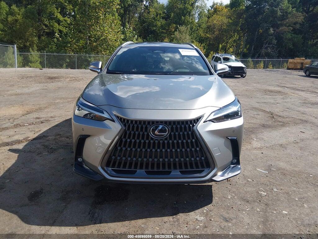 2T2GGCEZ3RC040087 2024 LEXUS NX 350 photo no. 12