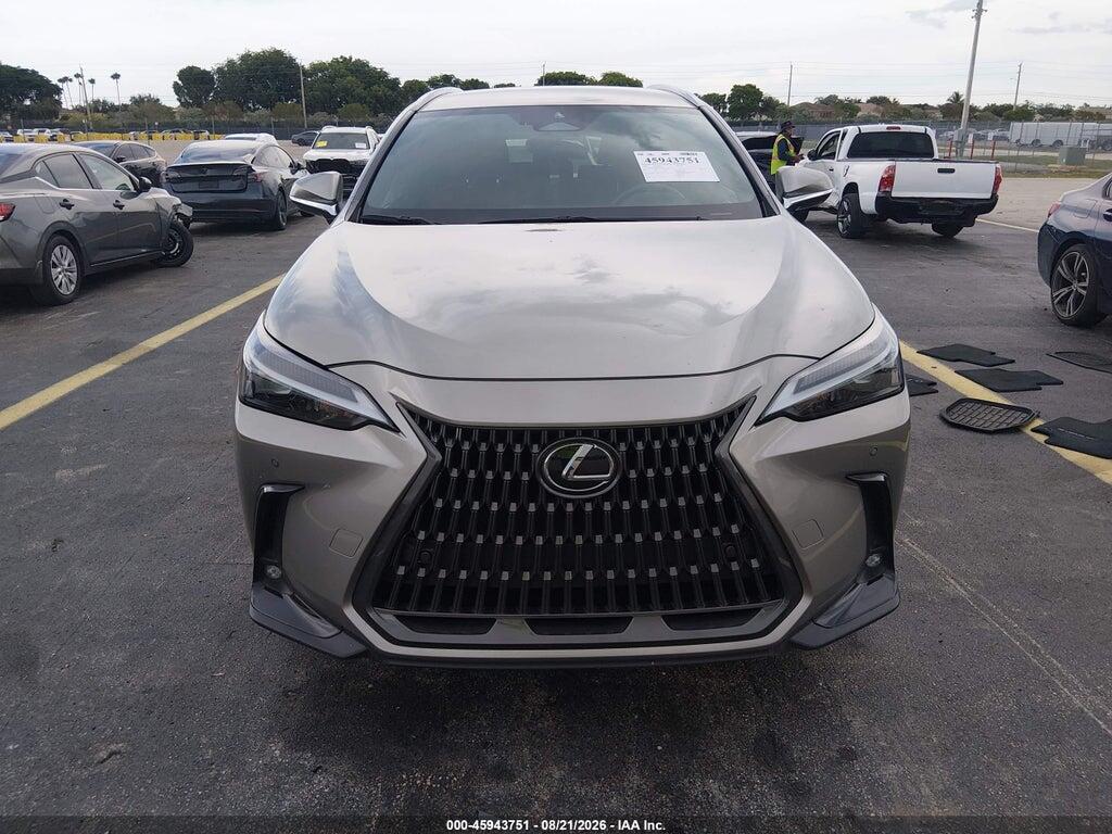 2T2ADCAZ8SC026342 2025 LEXUS NX 250 photo no. 12