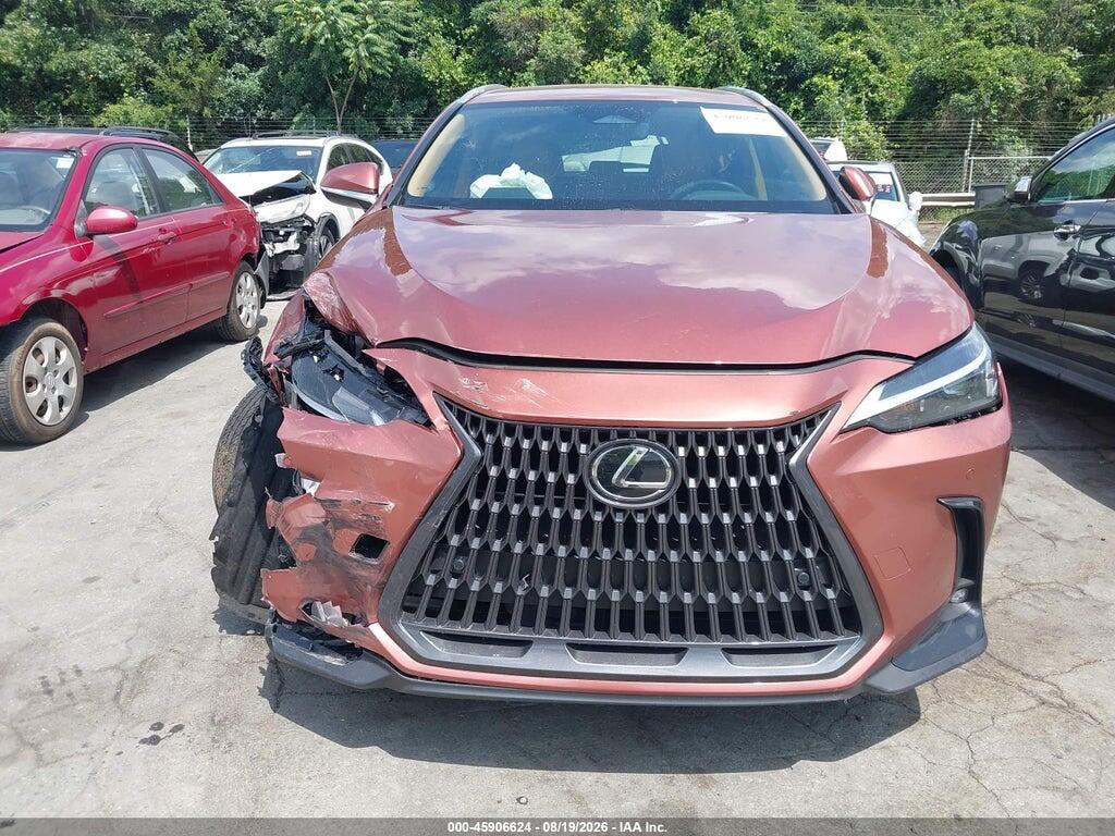 2T2ADCAZ4SC031215 2025 LEXUS NX 250 photo no. 12