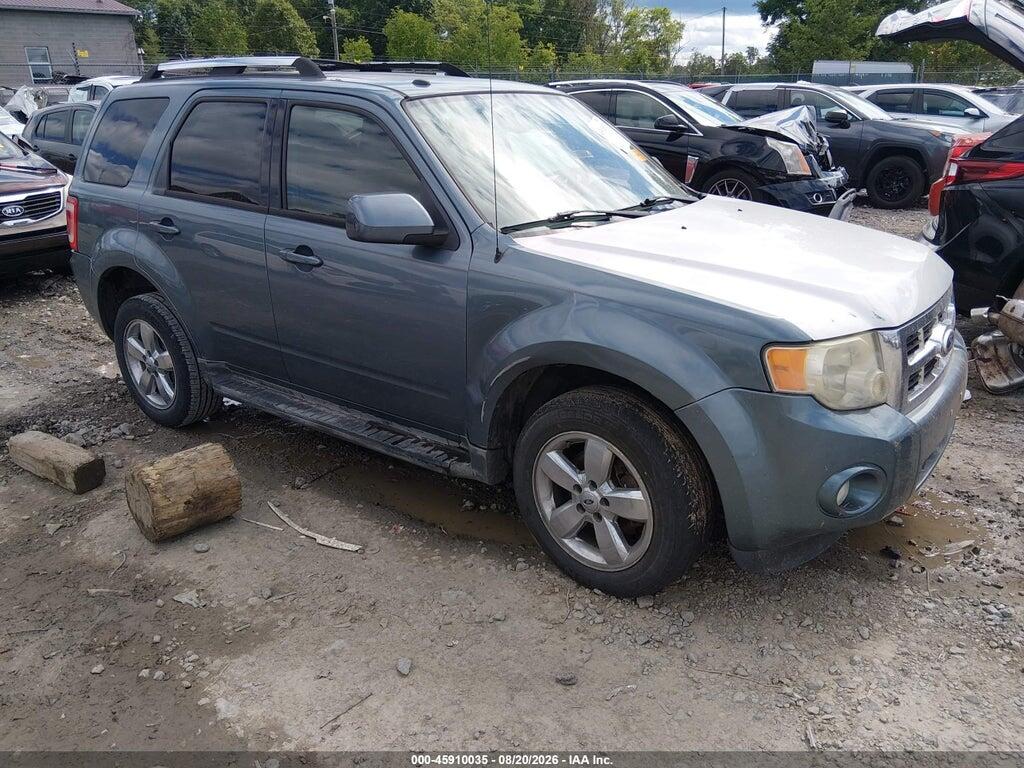 2010 FORD ESCAPE 1FMCU9EG1AKC44821