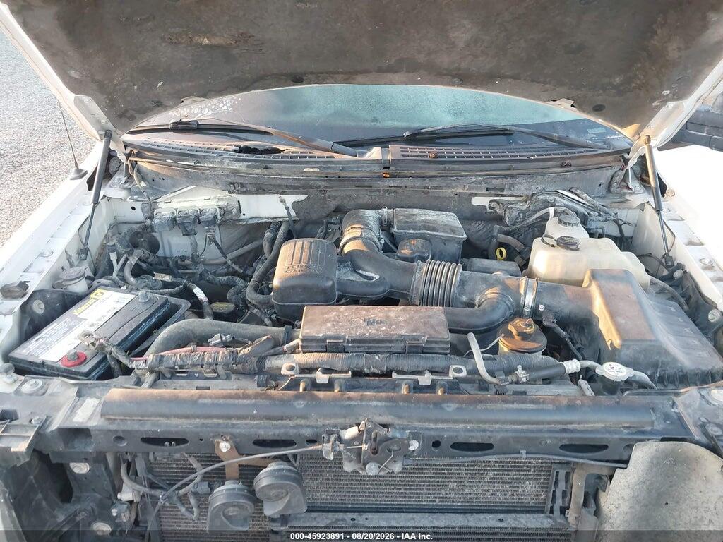 1FTFW1EV4AKE43129 2010 FORD F-150 photo no. 10