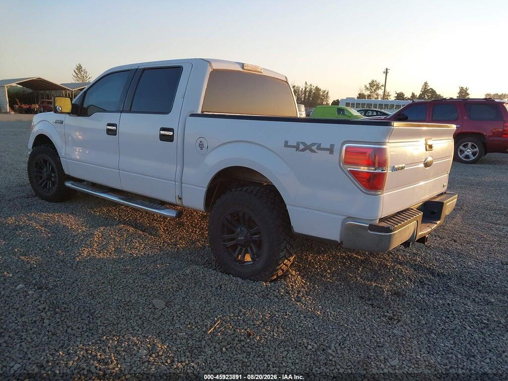1FTFW1EV4AKE43129 2010 FORD F-150 photo no. 3
