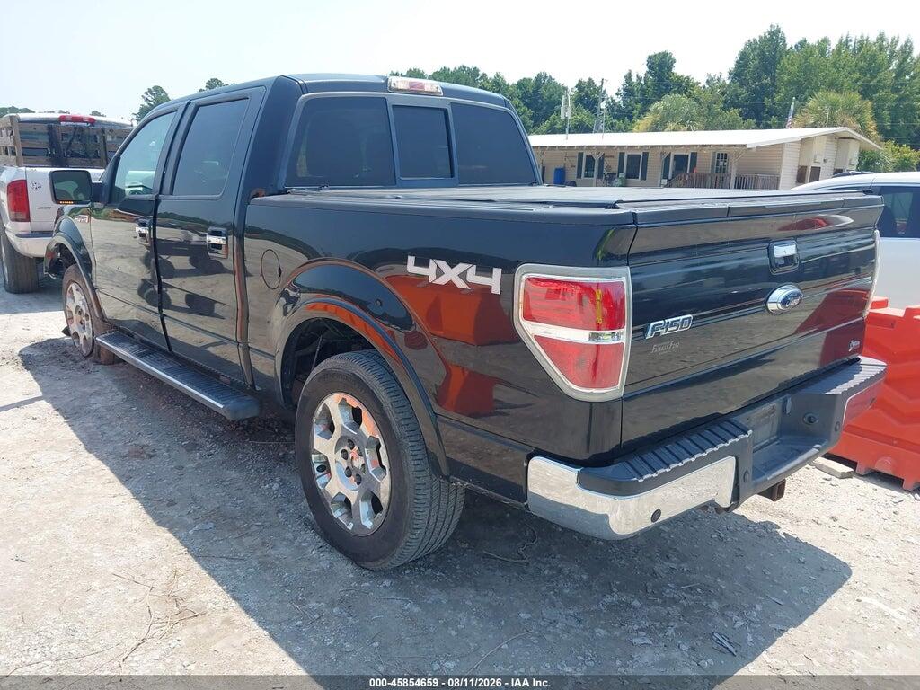1FTFW1EV0AFC09840 2010 FORD F-150 photo no. 3