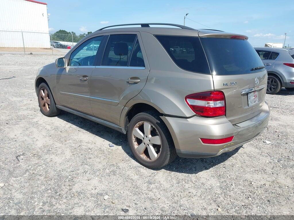 4JGBB8GB4AA566842 2010 MERCEDES-BENZ ML 350 photo no. 3