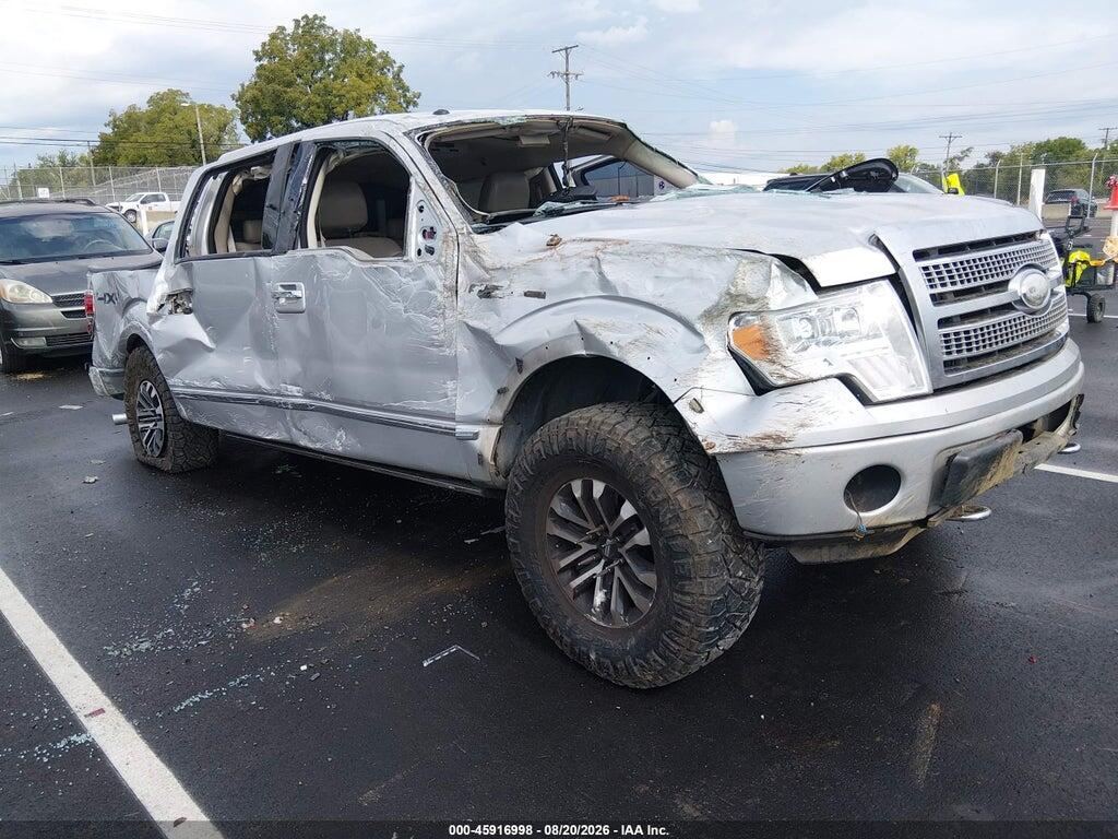 2009 FORD F-150 1FTPW14V39FB31202