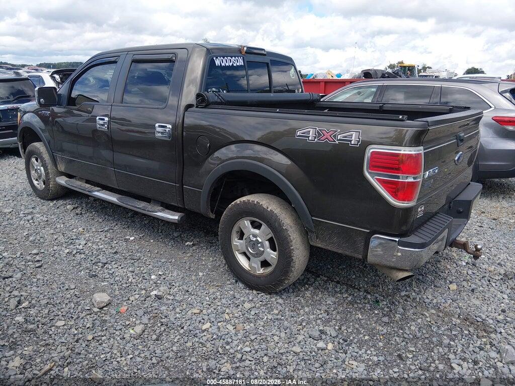 1FTRW14849KC53450 2009 FORD F-150 photo no. 3