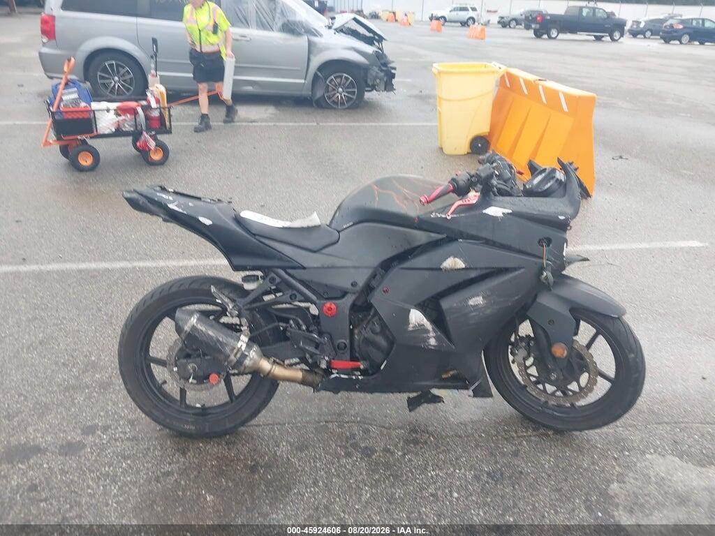 JKAEXMJ129DA29468 2009 KAWASAKI EX250 photo no. 12