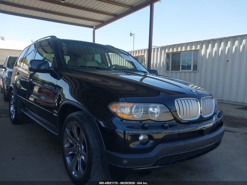 2006 BMW X5 5UXFA93536LE84421