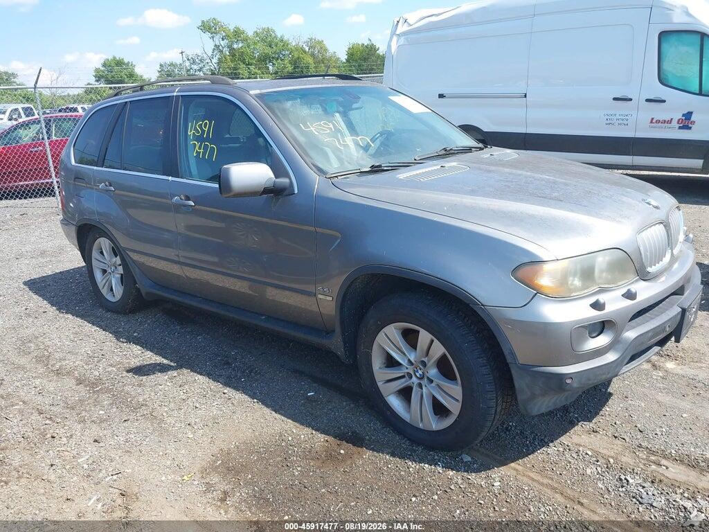2006 BMW X5 5UXFB53566LV29385