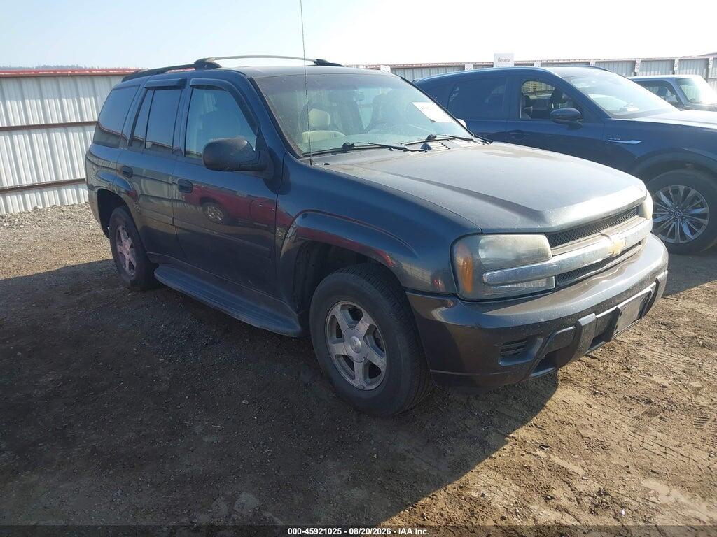2006 CHEVROLET TRAILBLAZER 1GNDT13S862313135