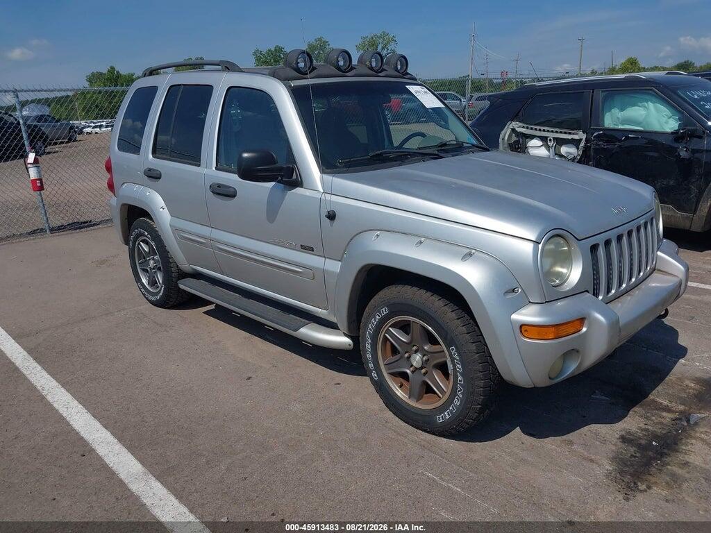2002 JEEP LIBERTY 1J8GK38K02W348602