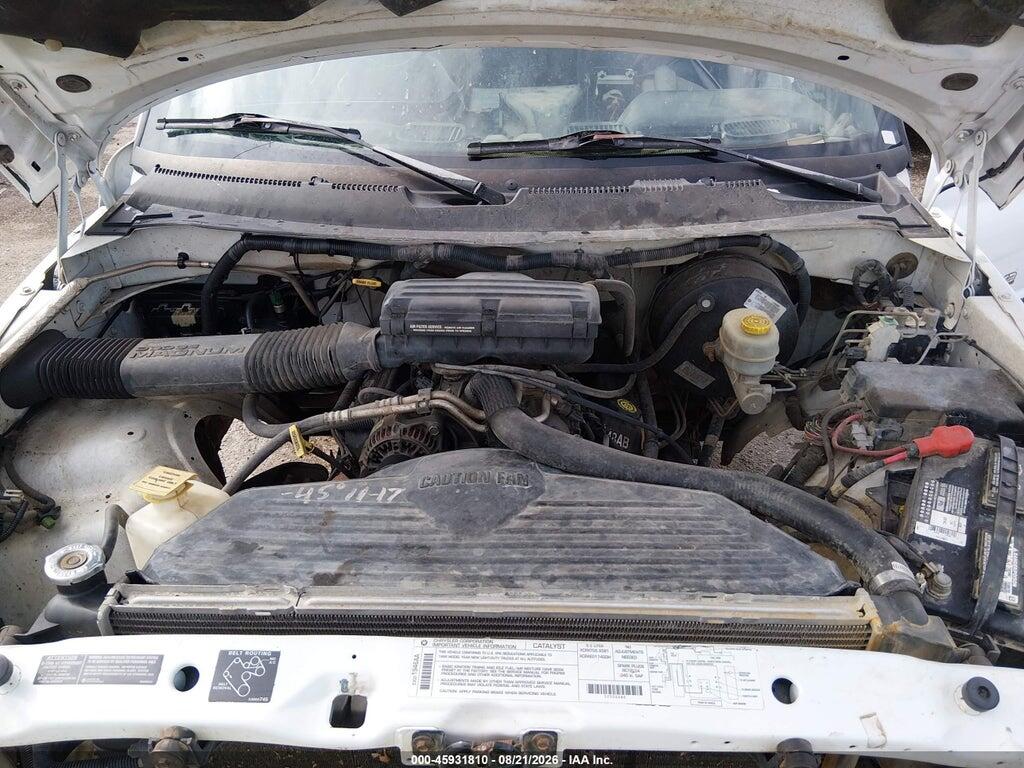 1B7HC13Y0XJ628663 1999 DODGE RAM 1500 photo no. 10