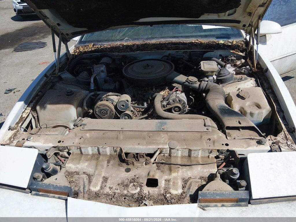 1G2FS21E8KL251087 1989 PONTIAC FIREBIRD photo no. 10