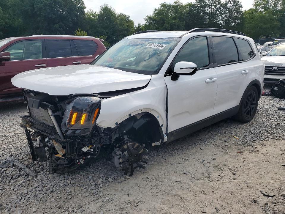 2025 KIA TELLURIDE 5XYP5DGC8SG716391