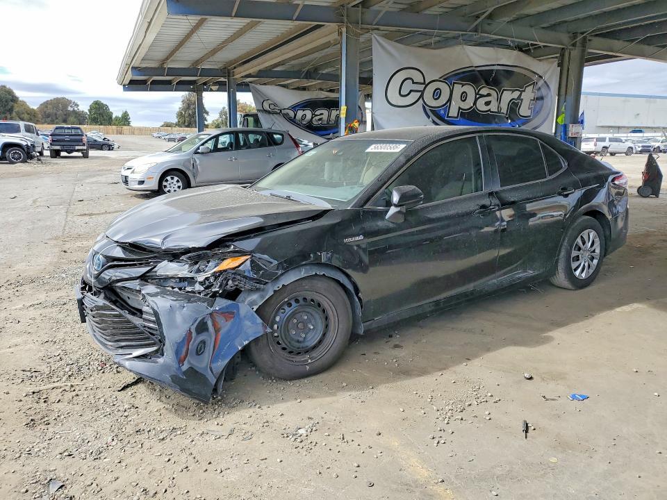 2019 TOYOTA CAMRY 4T1B31HK0KU006657