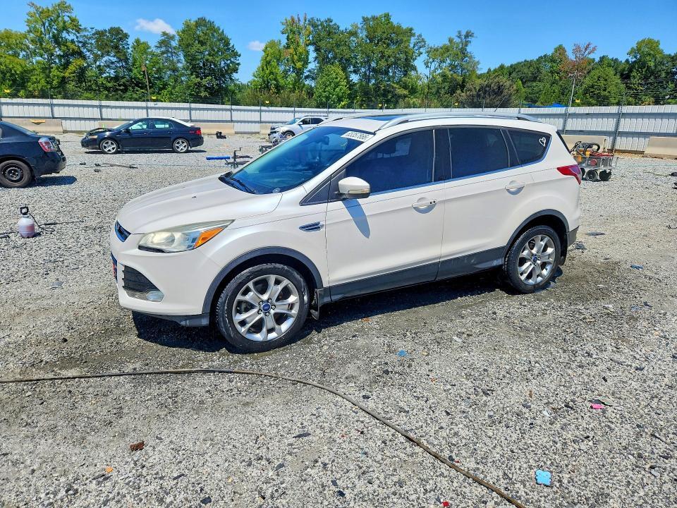 2014 FORD ESCAPE 1FMCU0J94EUE20287