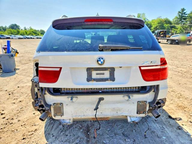 5UXFE4C5XAL383342 2010 BMW X5 photo no. 6