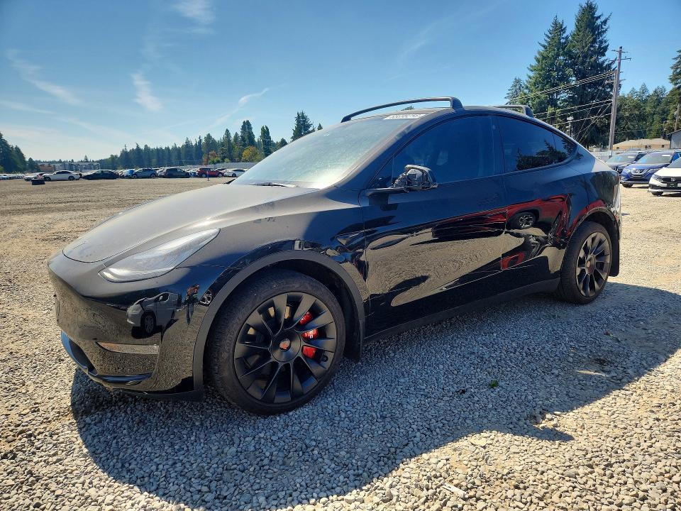 2023 TESLA MODEL Y 7SAYGDEE0PA105031