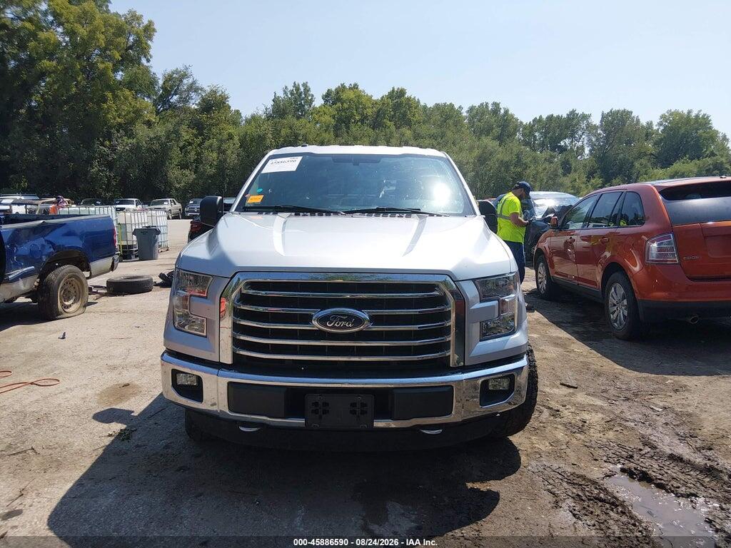 1FTEW1EG6FKF17221 2015 FORD F-150 photo no. 12