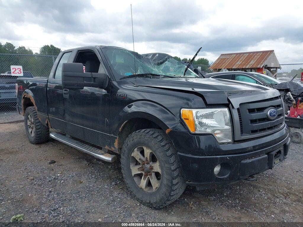 2013 FORD F-150 1FTFX1EFXDFD46665