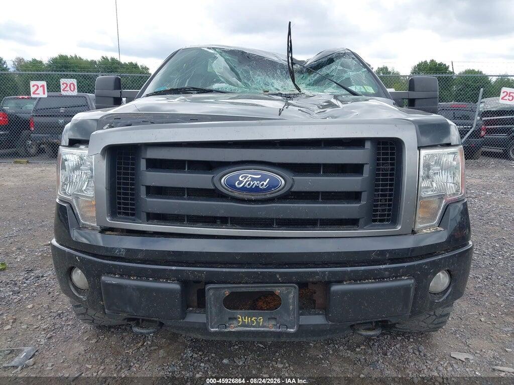 1FTFX1EFXDFD46665 2013 FORD F-150 photo no. 12