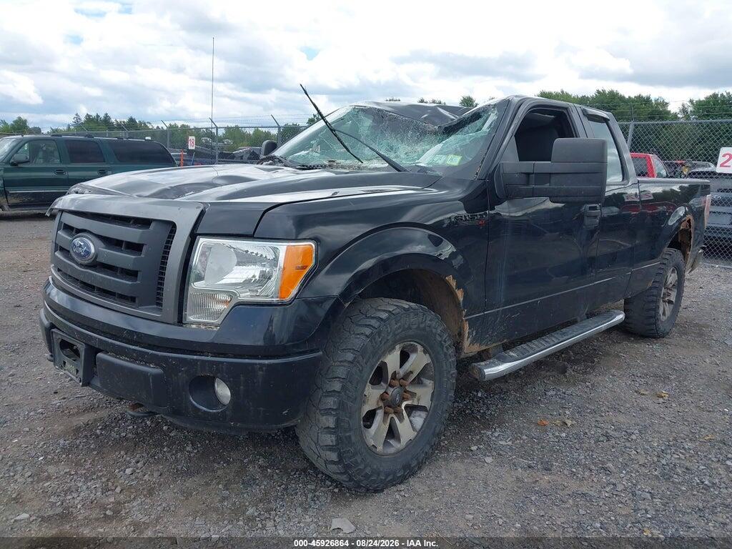 1FTFX1EFXDFD46665 2013 FORD F-150 photo no. 2