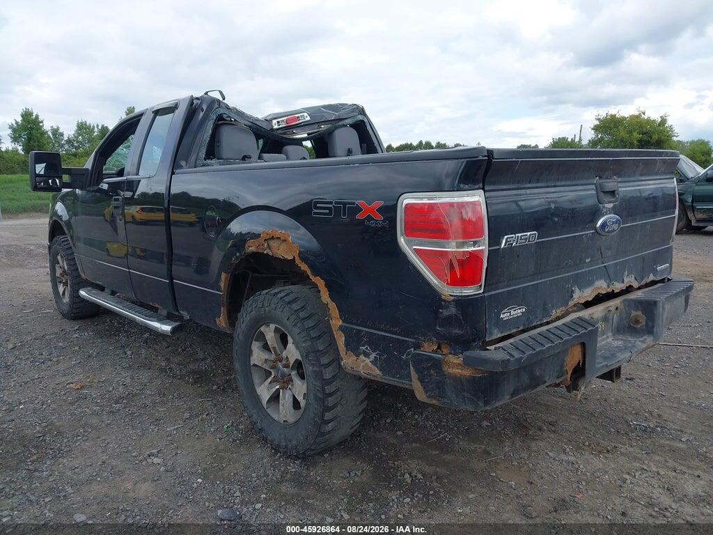 1FTFX1EFXDFD46665 2013 FORD F-150 photo no. 3