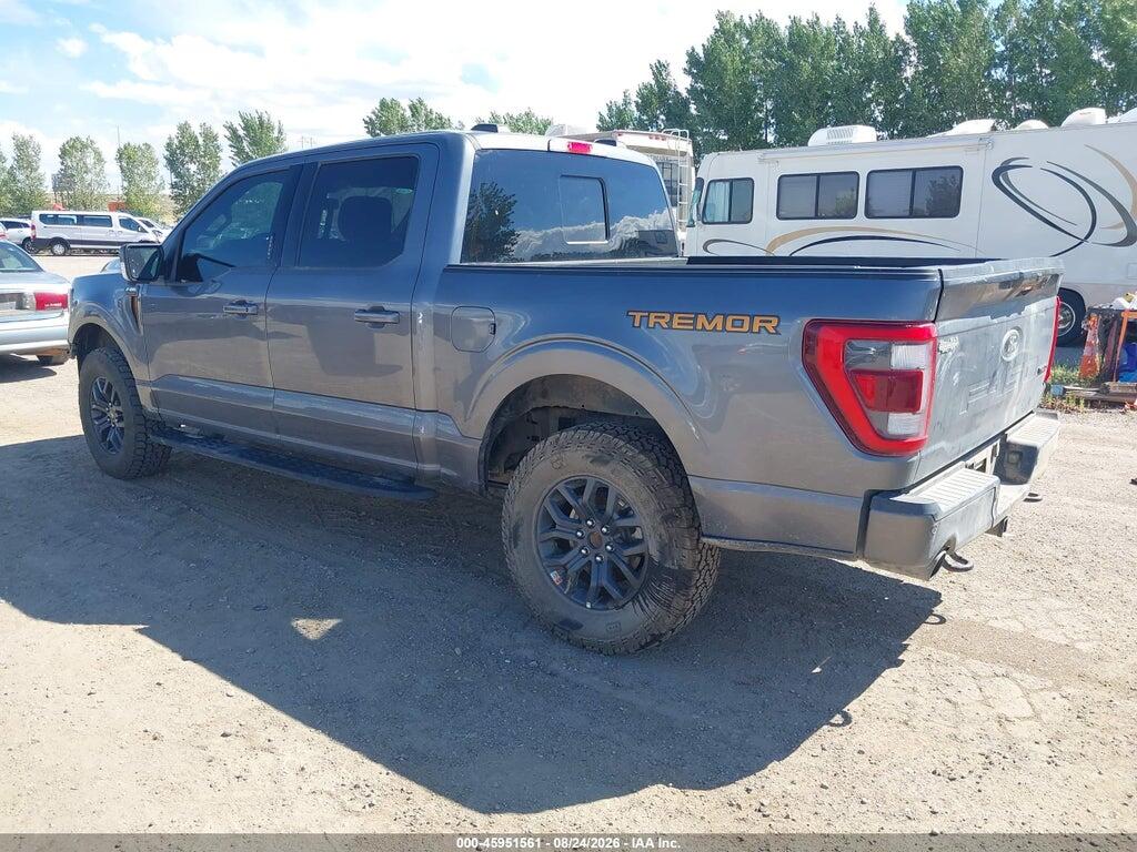 1FTEW1E8XPFB22316 2023 FORD F-150 photo no. 3
