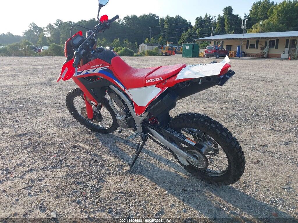 MLHND1617R5301037 2024 HONDA CRF300 photo no. 3