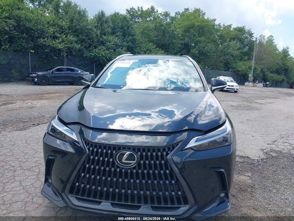 2T2GKCEZ8RC019024 2024 LEXUS NX 350H photo no. 12