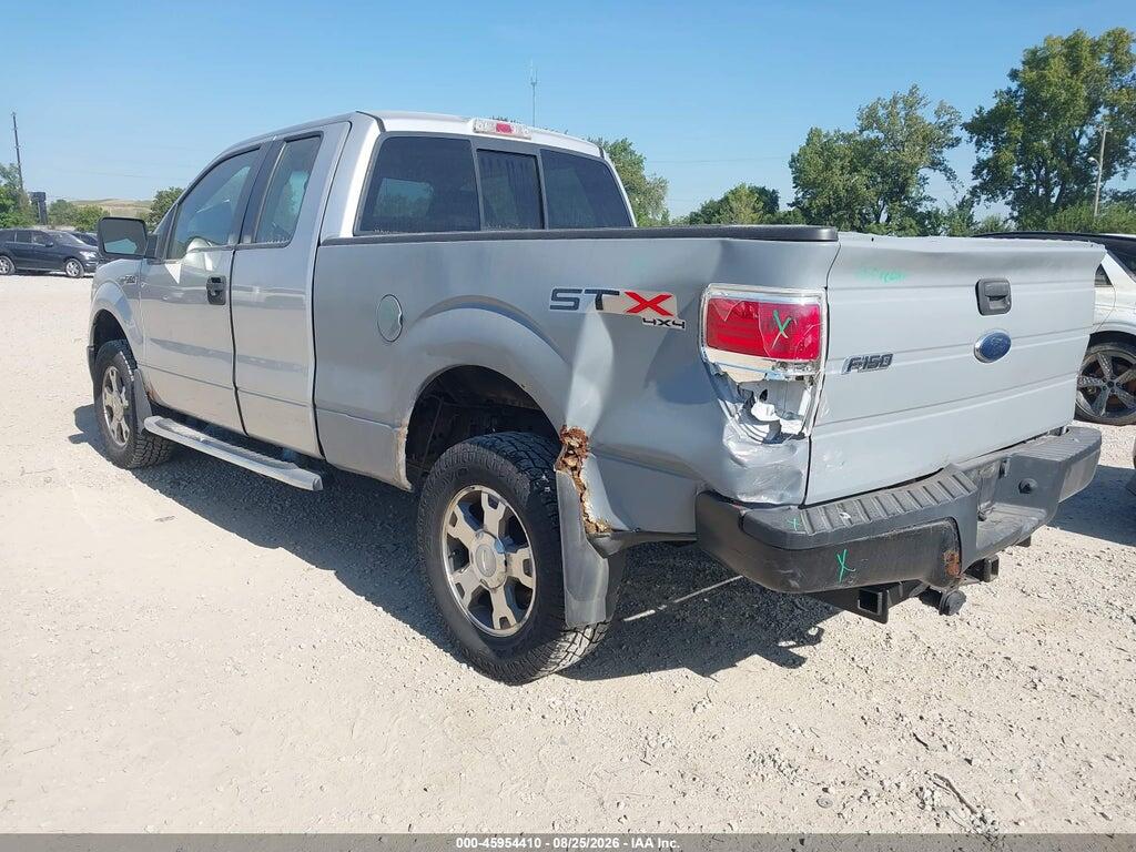 1FTEX1EW9AFC83176 2010 FORD F-150 photo no. 3