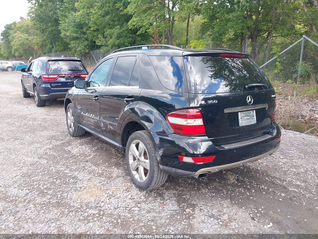 4JGBB8GB6AA597431 2010 MERCEDES-BENZ ML 350 photo no. 3