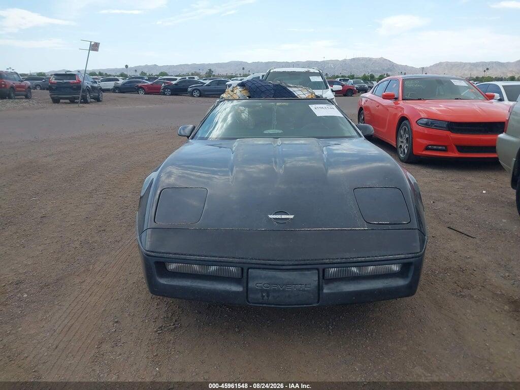 1G1YY2189K5113181 1989 CHEVROLET CORVETTE photo no. 6