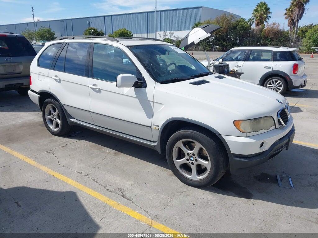 2002 BMW X5 5UXFA53522LP32254