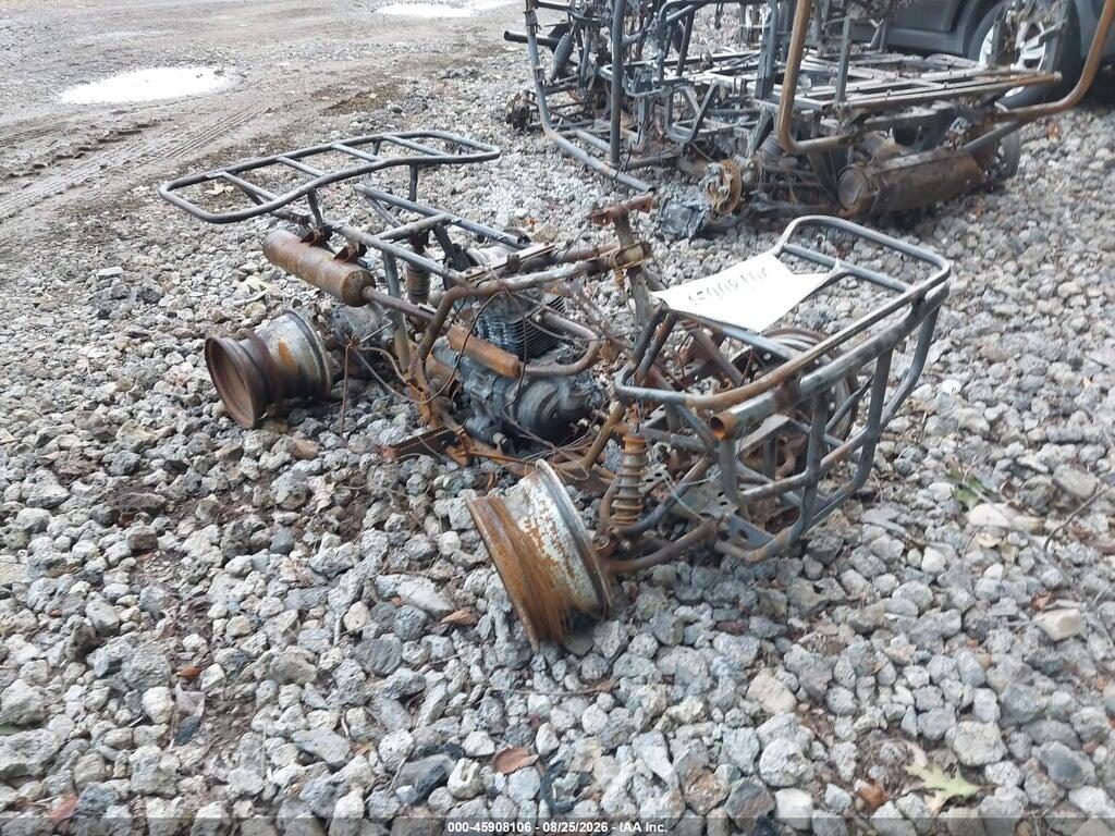 2002 HONDA TRX250 478TE210124203816