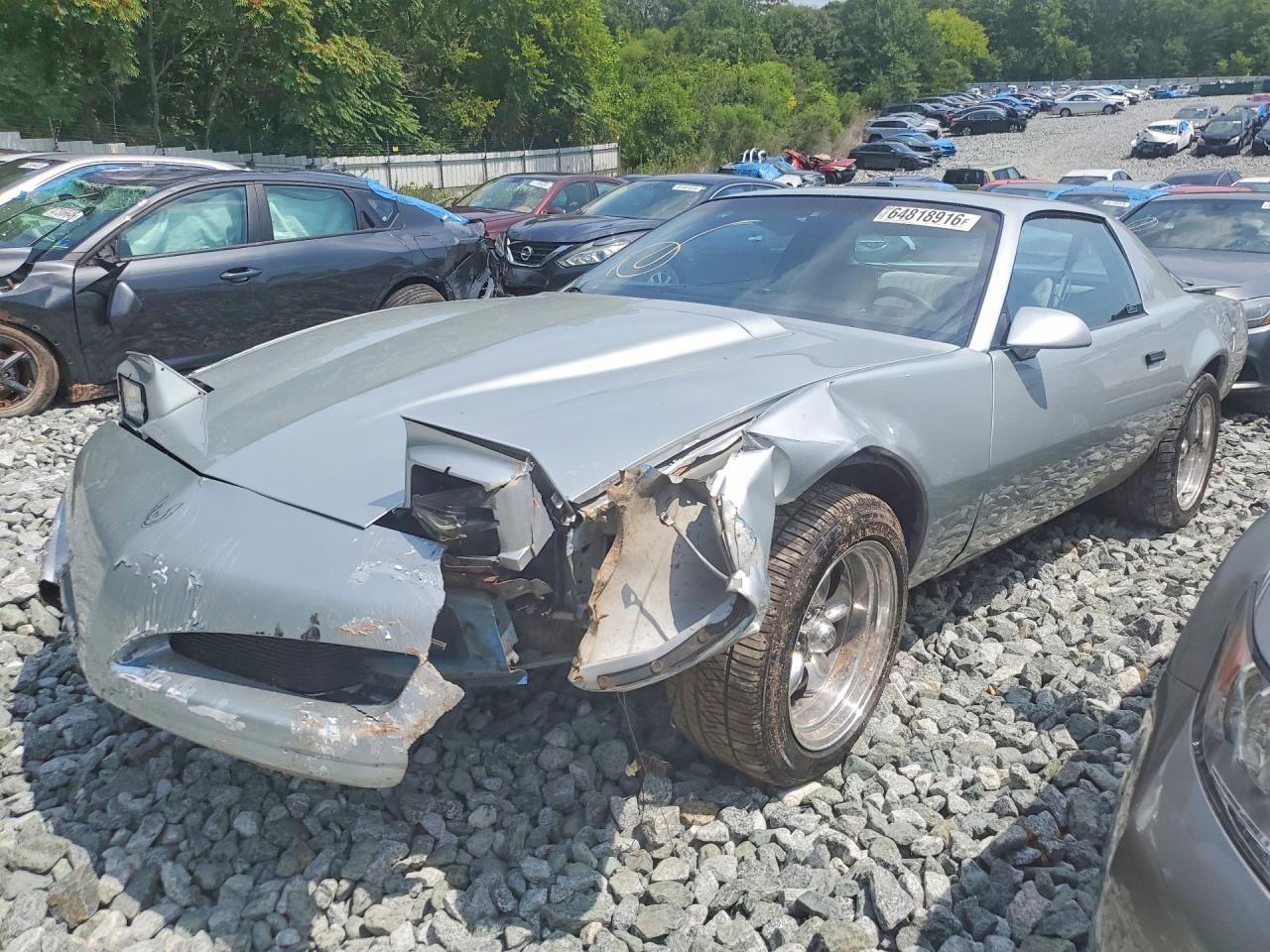 1991 PONTIAC FIREBIRD 1G2FS2389ML236074