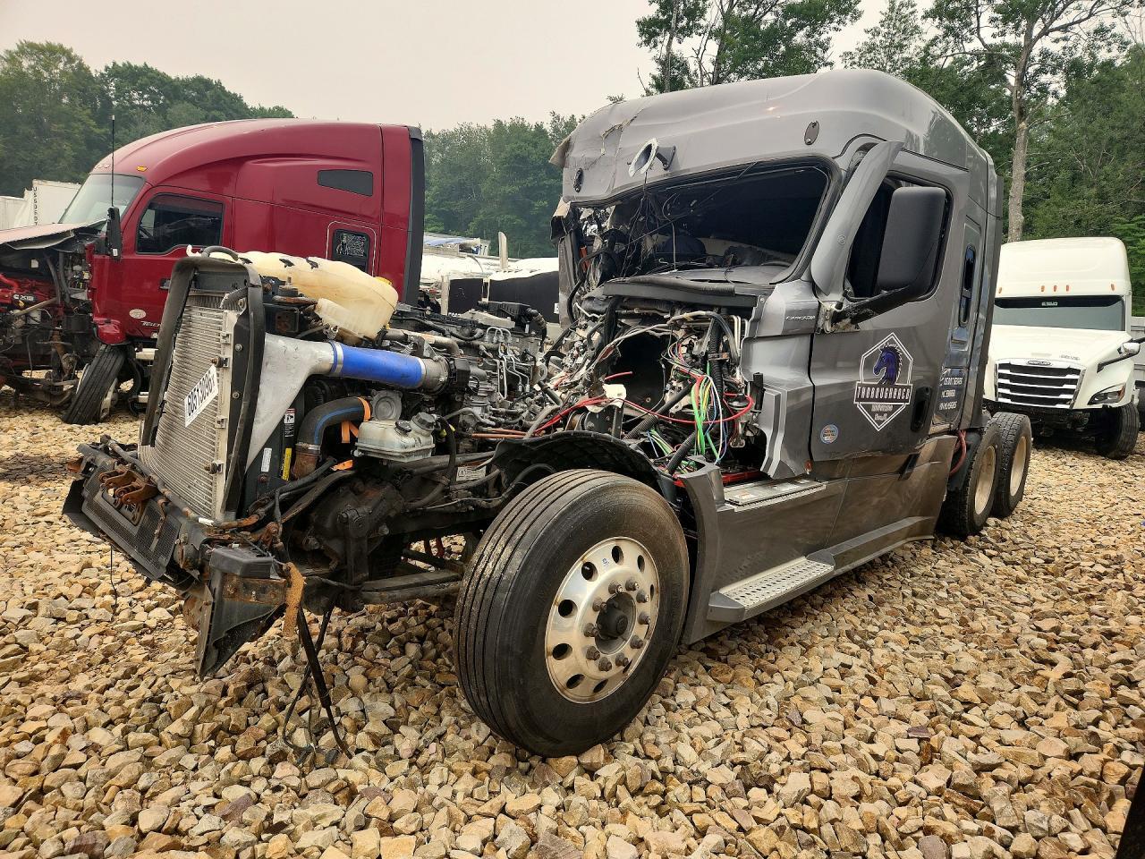 2021 FREIGHTLINER CASCADIA 126 1FUJHHDR3MLMS6895