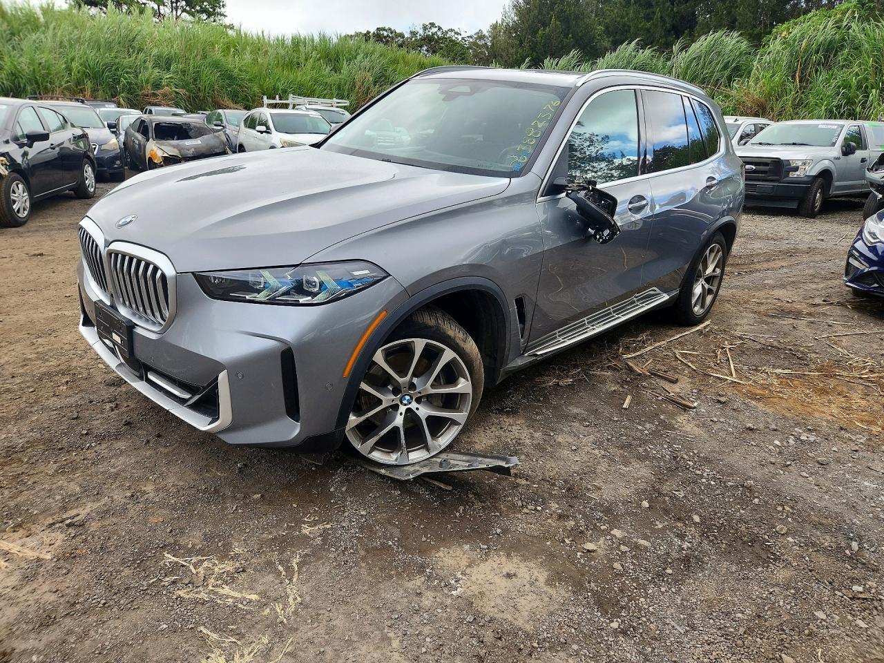2025 BMW X5 5UX23EU00S9Z59063