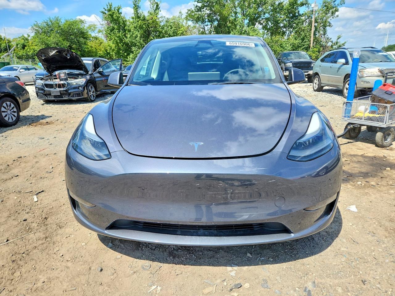 2023 TESLA MODEL Y — Фото 5 из 13