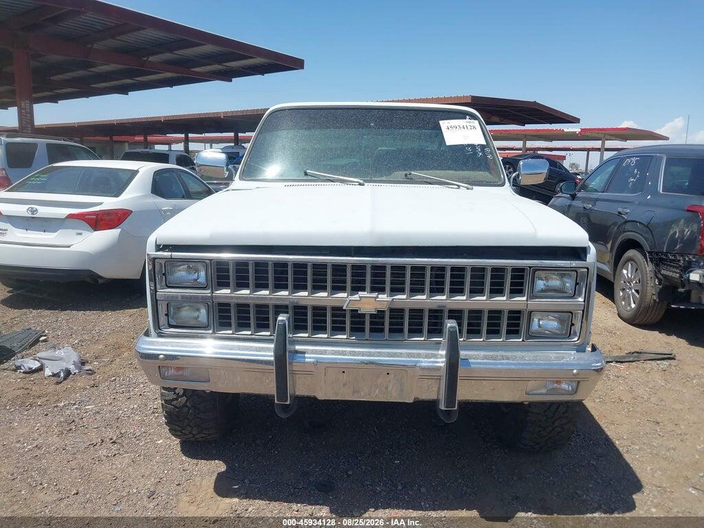 1GCEK14L0BZ123810 1981 CHEVROLET K10 photo no. 6