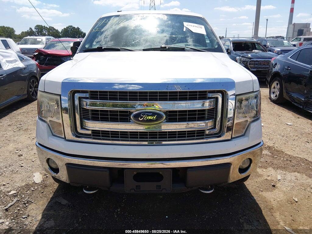 1FTFW1EF5DKF95224 2013 FORD F-150 photo no. 12