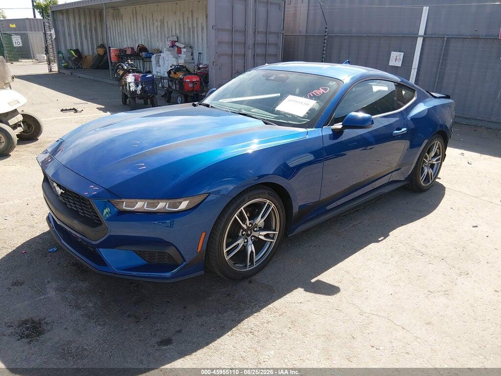 1FA6P8TH3R5136389 2024 FORD MUSTANG photo no. 2
