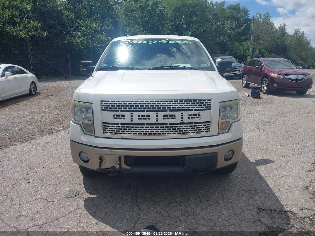 1FTFW1EV3AKE30517 2010 FORD F-150 photo no. 12