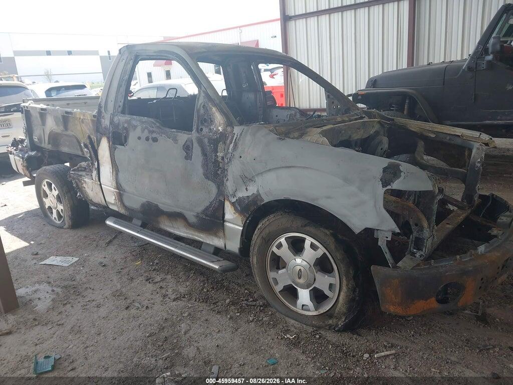 2009 FORD F-150 1FTRF02WX9KC07553