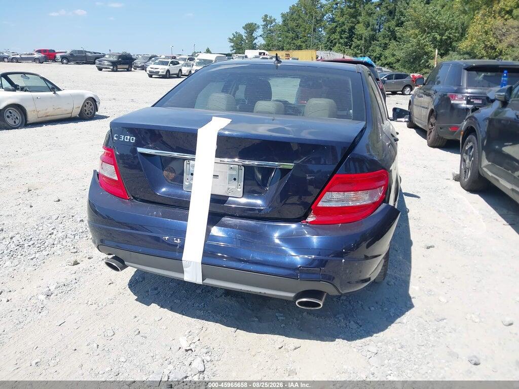WDDGF5EB4AR128393 2010 MERCEDES-BENZ C 300 photo no. 6