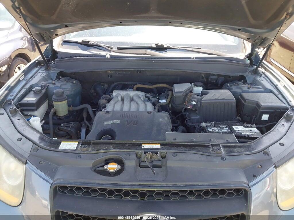 5NMSG73D59H321959 2009 HYUNDAI SANTA FE photo no. 10
