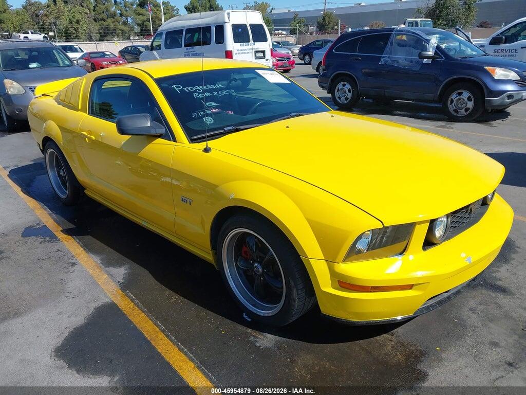 2006 FORD MUSTANG 1ZVFT82H265241442