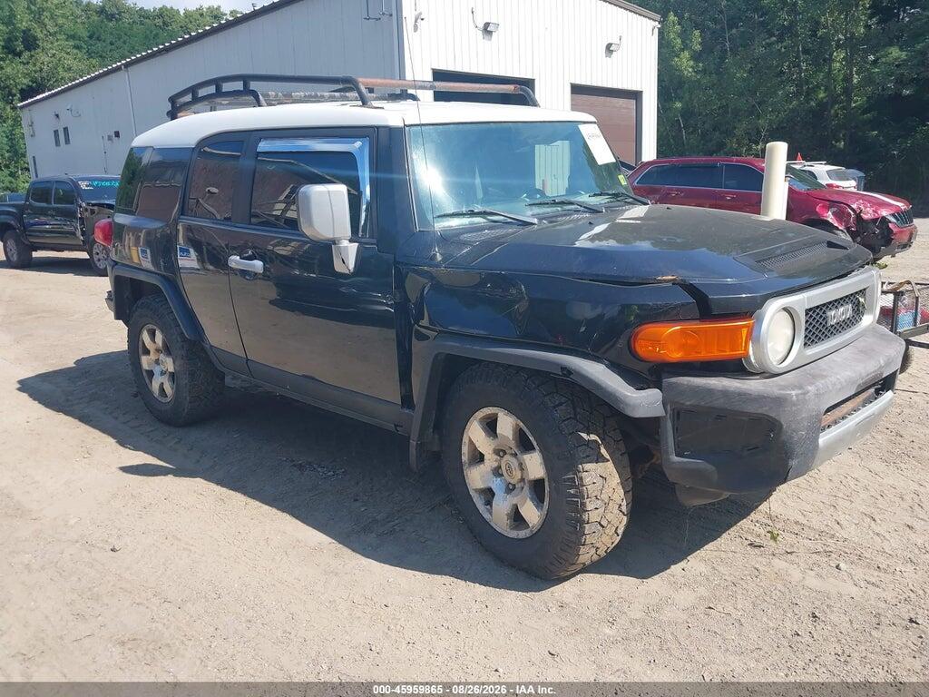 2009 TOYOTA FJ CRUISER JTEBU11F19K059917