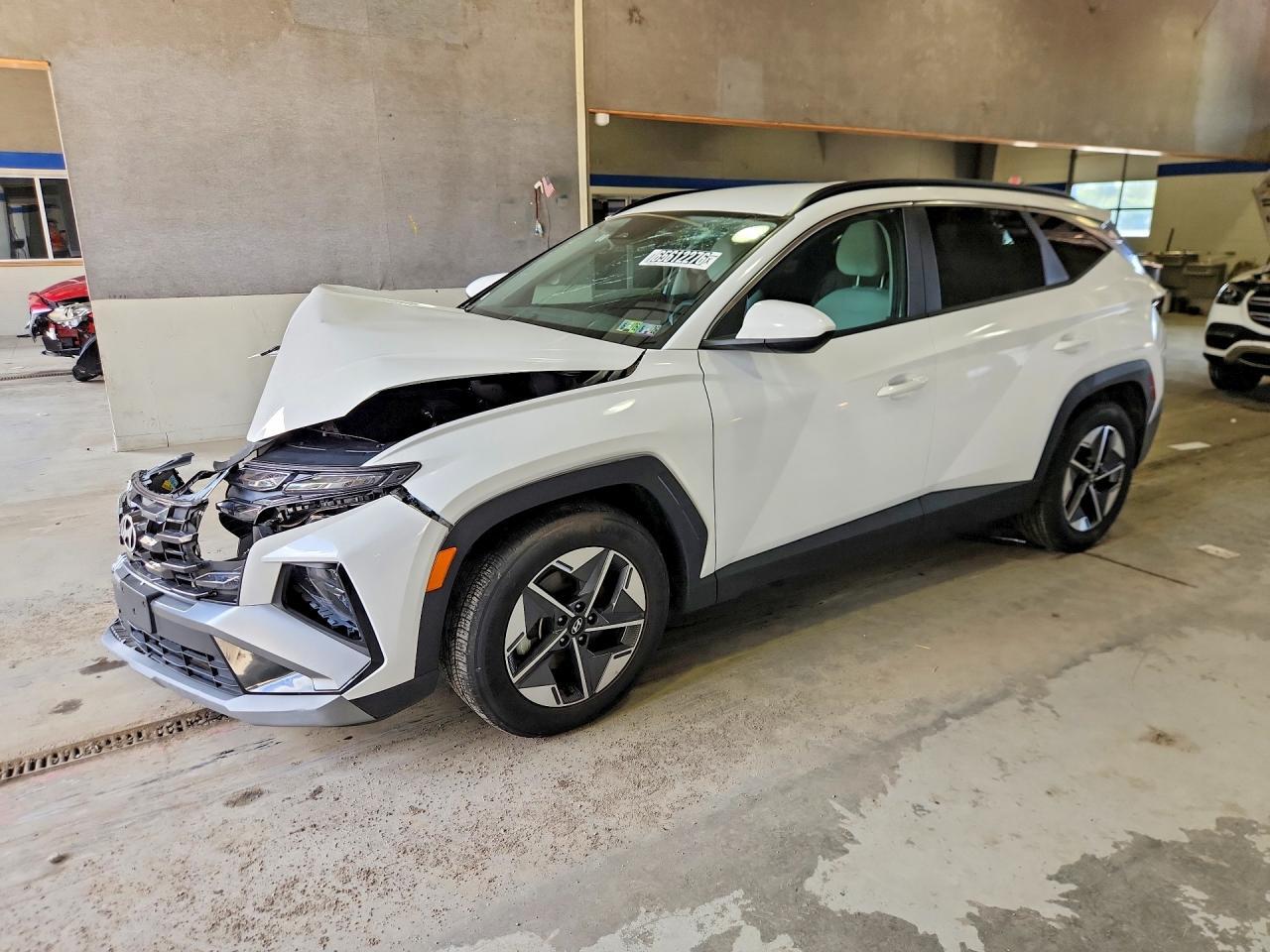 2025 HYUNDAI TUCSON 5NMJB3DEXSH557541